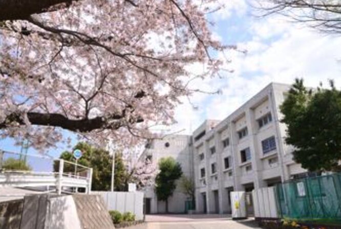 渡邉渚が通った中学校